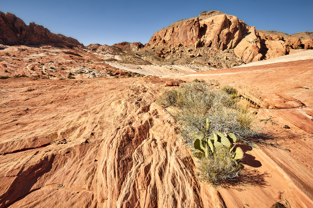 Spring desert adventure with mountains